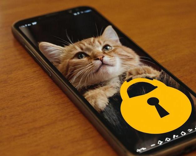 Все ради видео с котиком!</p>
<p>Китаянка ждала 9 лет, чтобы разблокировать Iphone 4S / Смартфоны и телефоны / iXBT Live