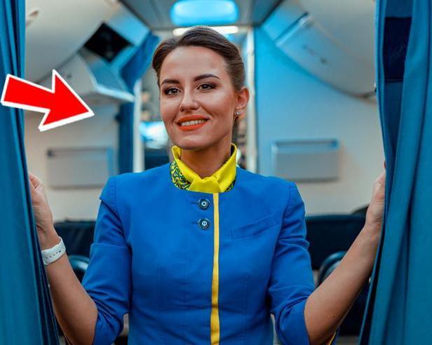 О чём предпочитают молчать стюардессы: 5 секретов на борту самолёта / Оффтопик / iXBT Live