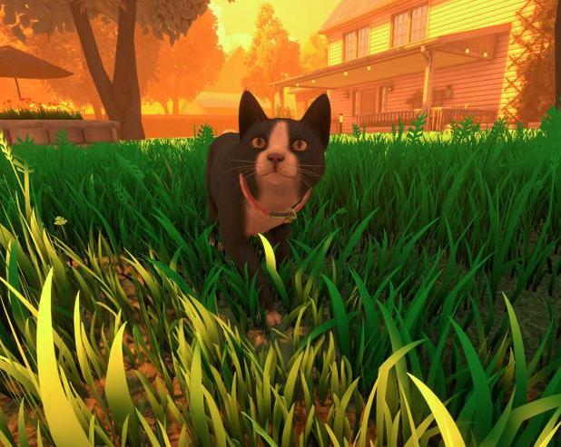 В сервисе Steam вышла трогательная игра Copycat про бездомную кошку / Игры / iXBT Live